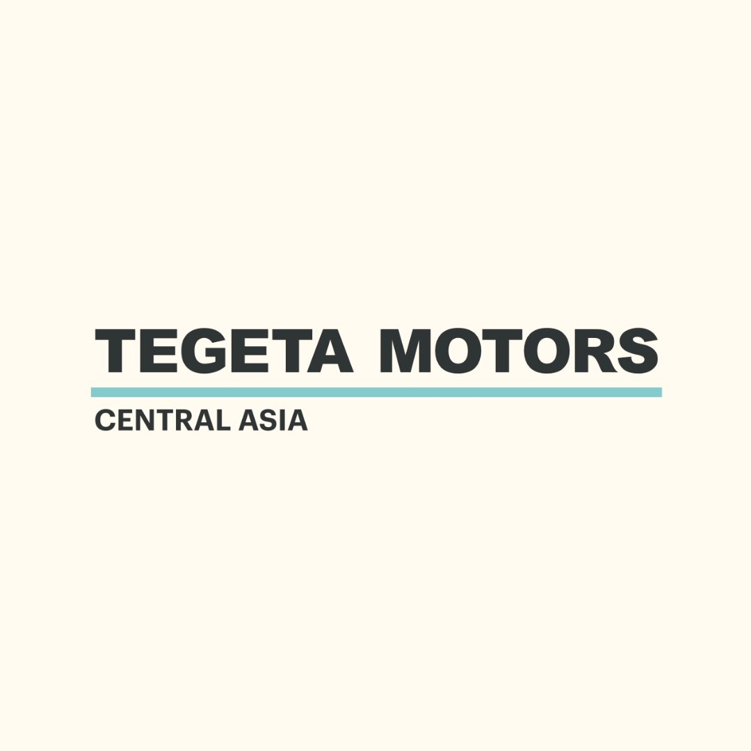 Tegeta Motors logo